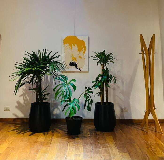 Arts Loft, A Estrenar! Buenos Aires Appartement Buitenkant foto